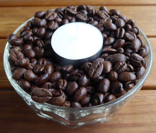 Kaffets dag den 29 september